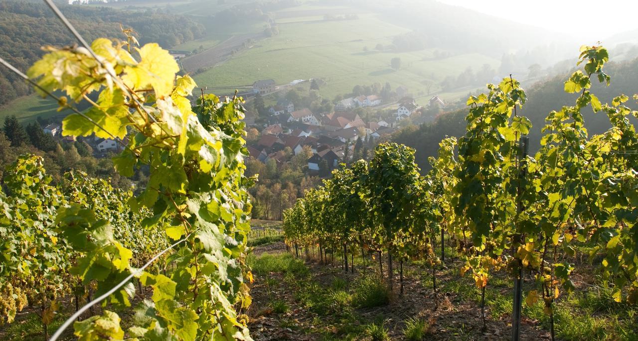 Auen Weingut Hees - Landgasthof Zum Jaeger Aus Kurpfalz מראה חיצוני תמונה