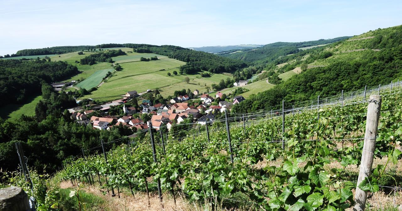 Auen Weingut Hees - Landgasthof Zum Jaeger Aus Kurpfalz מראה חיצוני תמונה