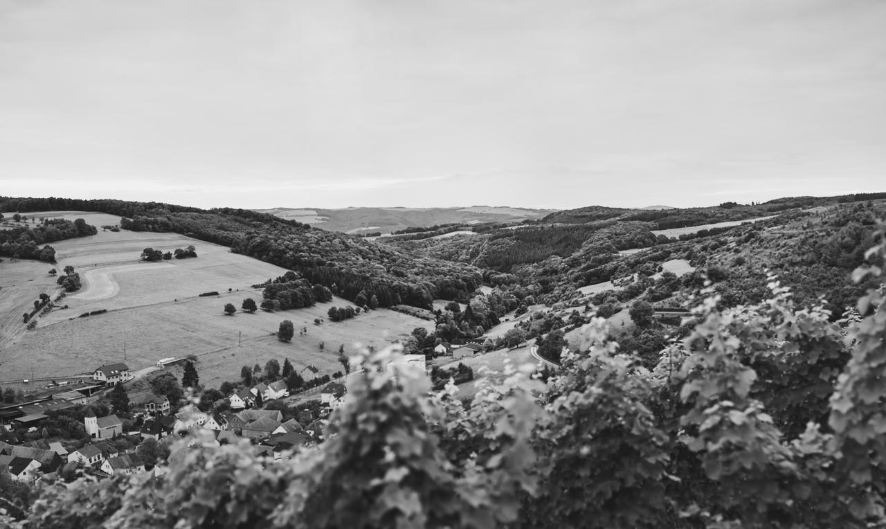 Auen Weingut Hees - Landgasthof Zum Jaeger Aus Kurpfalz מראה חיצוני תמונה