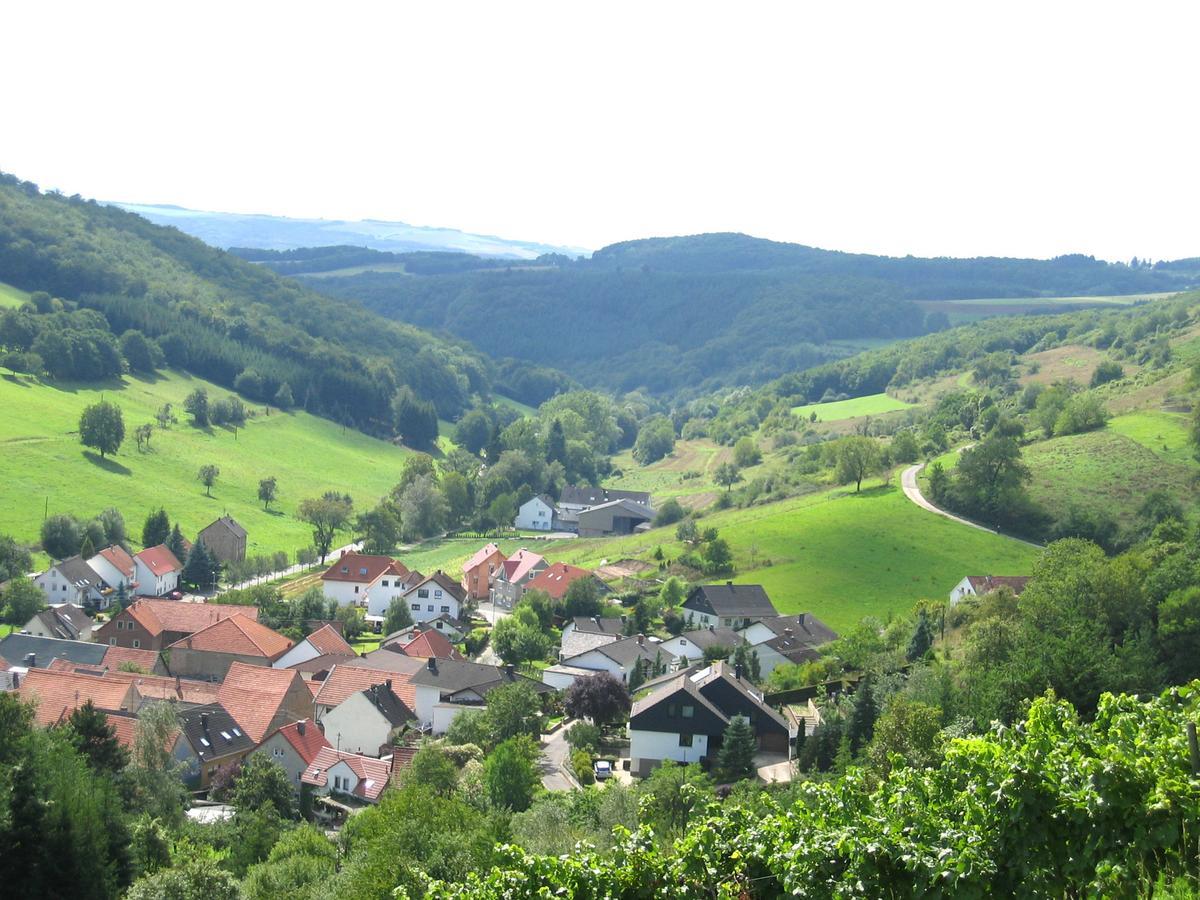 Auen Weingut Hees - Landgasthof Zum Jaeger Aus Kurpfalz מראה חיצוני תמונה